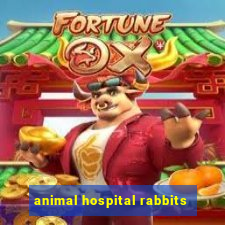 animal hospital rabbits